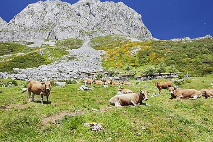 Los GAL podrán presentar Planes de Sostenibilidad Turística en Destinos en la convocatoria extraordinaria del Ministerio de Turismo Los GAL podrán presentar Planes de Sostenibilidad Turística en Destinos en la convocatoria extraordinaria del Ministerio de Turismo