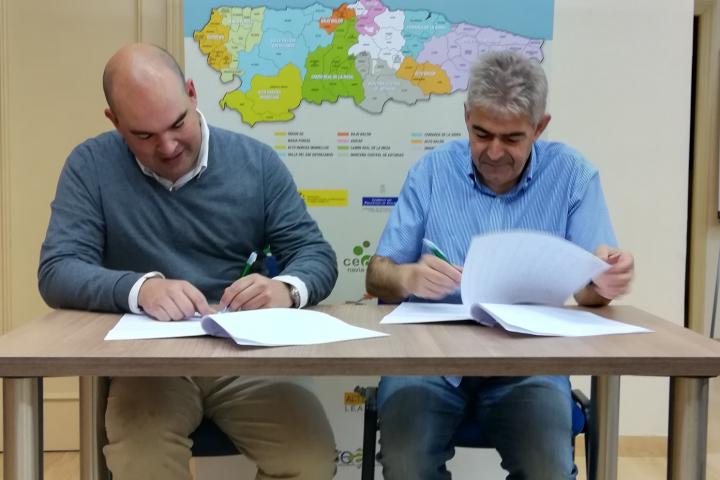 READER contrata un servicio de auditoria para la entidad y los once Grupos de Desarrollo Rural READER contrata un servicio de auditoria para la entidad y los once Grupos de Desarrollo Rural