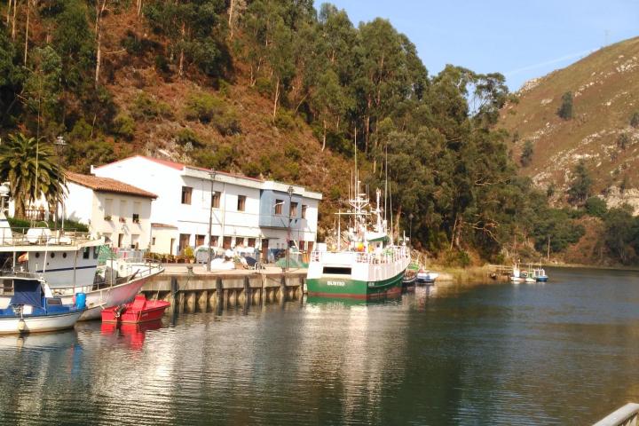 El Principado convoca ayudas por casi 200.000 euros para cuatro Grupos de Acción Local de Pesca El Principado convoca ayudas por casi 200.000 euros para cuatro Grupos de Acción Local de Pesca