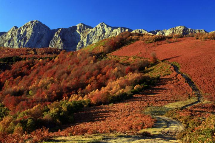 Más de la cuarta parte de España se dedica a la conservación de la naturaleza Más de la cuarta parte de España se dedica a la conservación de la naturaleza