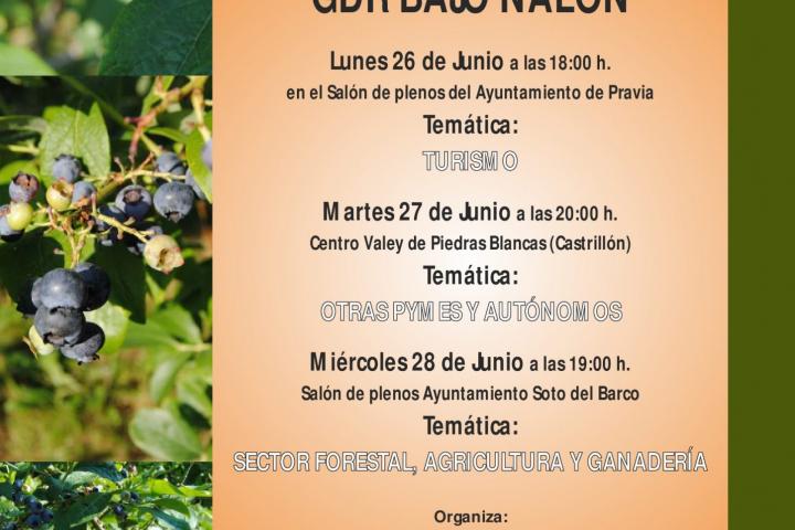 Bajo Nalón lanza una campaña informativa sobre las ayudas LEADER en la comarca Bajo Nalón lanza una campaña informativa sobre las ayudas LEADER en la comarca