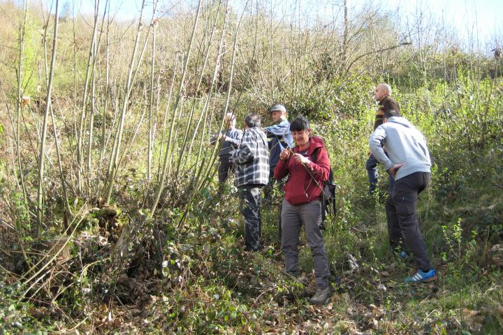 READER ofrece cursos gratuitos para desempleados/as sobre Agricultura ecológica y aprovechamientos forestales en Lena y Tineo READER ofrece cursos gratuitos para desempleados/as sobre Agricultura ecológica y aprovechamientos forestales en Lena y Tineo