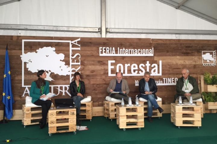 READER defiende el valor de los bosques más allá de la producción de madera READER defiende el valor de los bosques más allá de la producción de madera