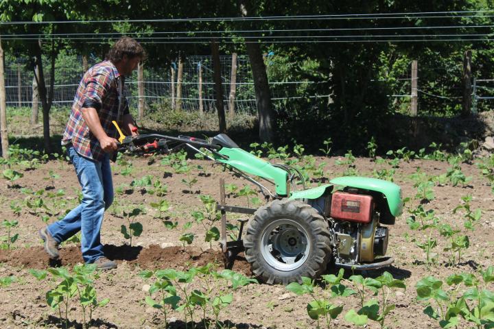 El campo asturiano recupera en un año de pandemia los habitantes perdidos en una década El campo asturiano recupera en un año de pandemia los habitantes perdidos en una década