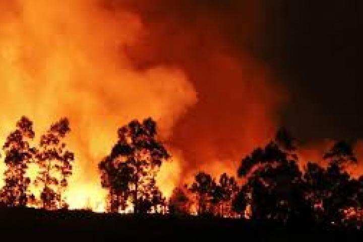 El Gobierno de Asturias constituye el comité de prevención y lucha contra los incendios forestales El Gobierno de Asturias constituye el comité de prevención y lucha contra los incendios forestales
