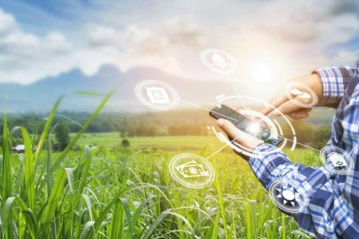 Startup Olé lanza la iniciativa de ámbito europeo ReInA, para impulsar el entorno rural Startup Olé lanza la iniciativa de ámbito europeo ReInA, para impulsar el entorno rural
