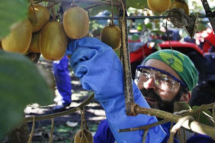 El medio rural asturiano: dudas y esperanzas. La necesidad de generar oportunidades laborales El medio rural asturiano: dudas y esperanzas. La necesidad de generar oportunidades laborales