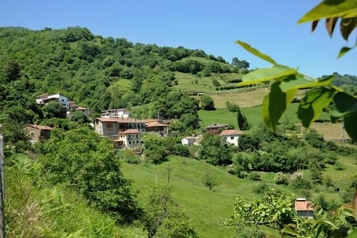 Asturias valora los avances para «singularizar» la cornisa cantábrica y su explotación agraria familiar en la PAC Asturias valora los avances para «singularizar» la cornisa cantábrica y su explotación agraria familiar en la PAC