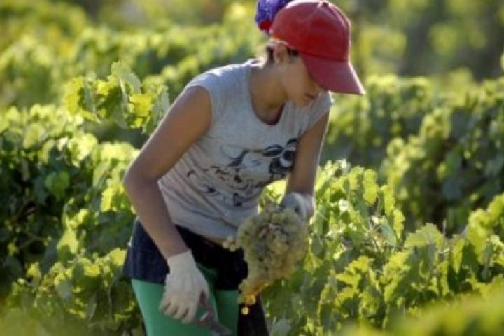 Las mujeres rurales de Asturias participarán en talleres gratuitos online para mejorar la empleabilidad Las mujeres rurales de Asturias participarán en talleres gratuitos online para mejorar la empleabilidad