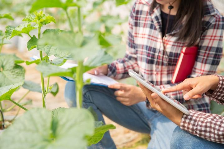 Los incentivos de pueblos de Europa para que teletrabajes en ellos: alquileres a 150 euros, internet de alta velocidad y hasta pagos al contado Los incentivos de pueblos de Europa para que teletrabajes en ellos: alquileres a 150 euros, internet de alta velocidad y hasta pagos al contado