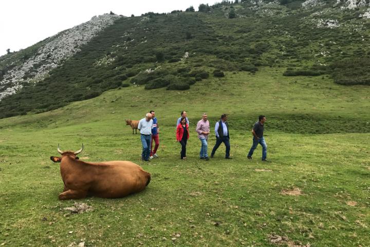 Desarrollo Rural concluye la mejora de caminos en Grado, Quirós y Santo Adriano con una inversión de 204.000 euros Desarrollo Rural concluye la mejora de caminos en Grado, Quirós y Santo Adriano con una inversión de 204.000 euros