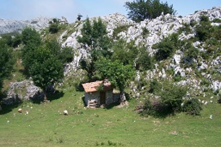 El Parque Nacional de los Picos de Europa inicia hoy las rutas guiadas gratuitas para los visitantes El Parque Nacional de los Picos de Europa inicia hoy las rutas guiadas gratuitas para los visitantes