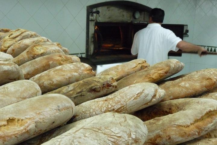El Gobierno regula por decreto el Consejo Agroalimentario del Principado de Asturias El Gobierno regula por decreto el Consejo Agroalimentario del Principado de Asturias