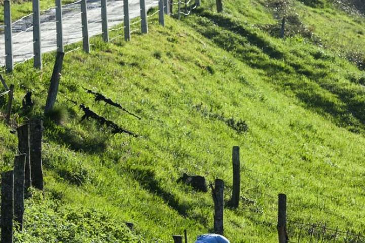 La gestión empresarial, la comercialización, la atención a mayores y las energías renovables, empleos con más futuro en el medio rural La gestión empresarial, la comercialización, la atención a mayores y las energías renovables, empleos con más futuro en el medio rural