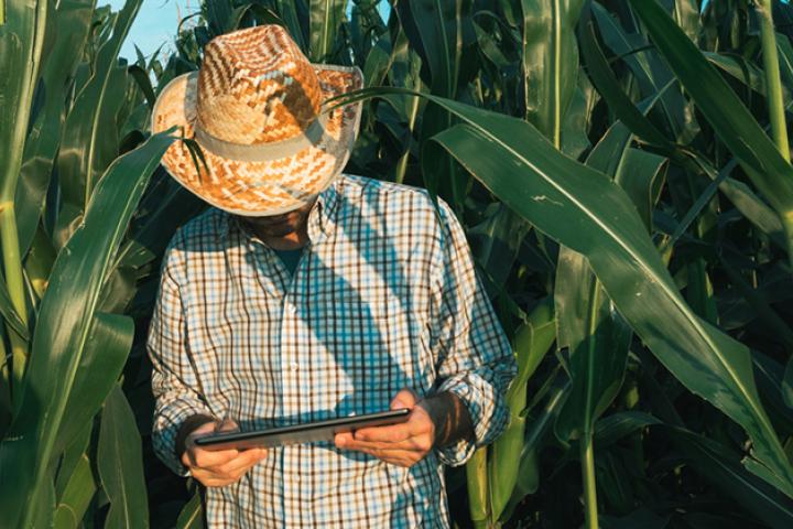 Asturias destina cuatro millones a impulsar proyectos innovadores de los grupos operativos de desarrollo rural Asturias destina cuatro millones a impulsar proyectos innovadores de los grupos operativos de desarrollo rural