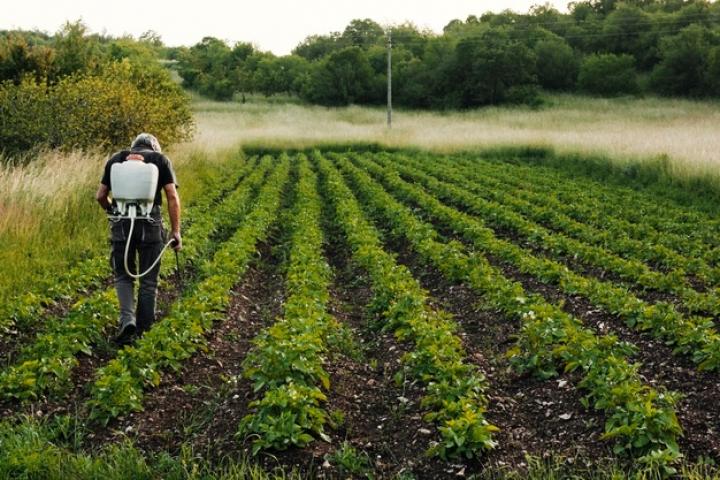 PAC: Europa estudia si la definición de agricultor genuino debe ser obligatoria o no y Planas asegura que en España se aplicará sí o sí PAC: Europa estudia si la definición de agricultor genuino debe ser obligatoria o no y Planas asegura que en España se aplicará sí o sí