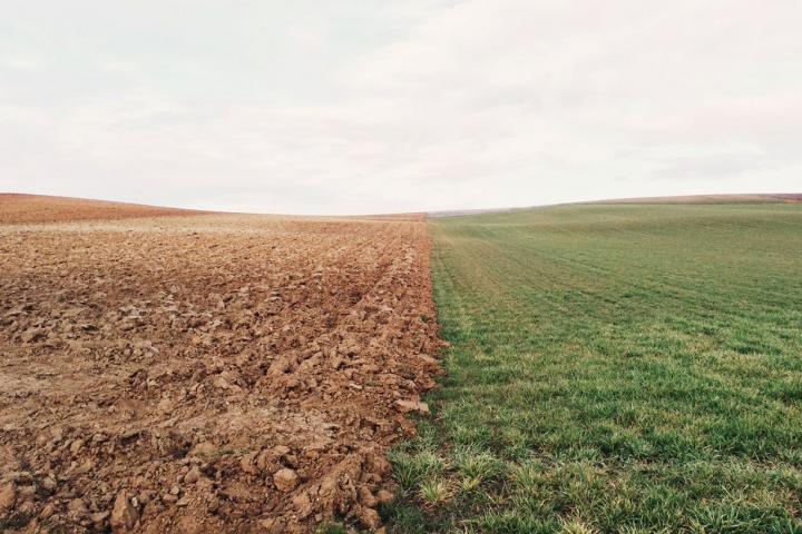 Desarrollo Rural organiza una jornada sobre la Política Agrícola Común después de 2020 Desarrollo Rural organiza una jornada sobre la Política Agrícola Común después de 2020