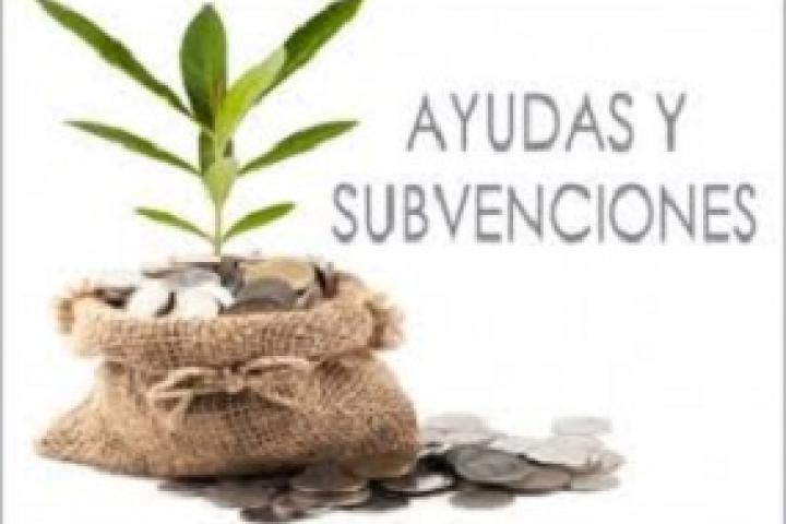 Publicado el Plan Estratégico de Subvenciones de Medio Rural para el período 2021-2023 Publicado el Plan Estratégico de Subvenciones de Medio Rural para el período 2021-2023