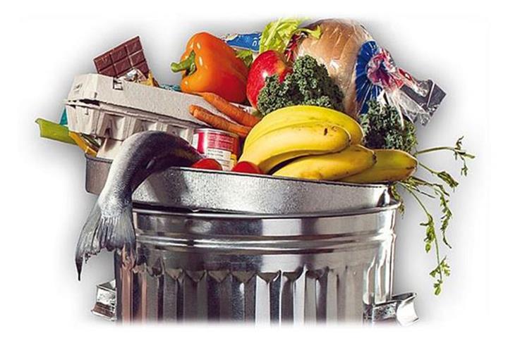 El ministerio inicia la consulta pública de la ley contra el desperdicio alimentario El ministerio inicia la consulta pública de la ley contra el desperdicio alimentario