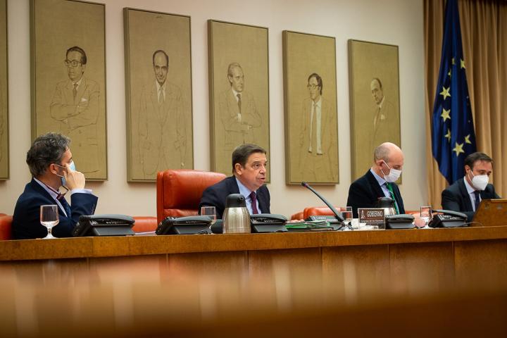 Luis Planas pide a las 17 comunidades autónomas consenso y generosidad para contar con una buena PAC Luis Planas pide a las 17 comunidades autónomas consenso y generosidad para contar con una buena PAC