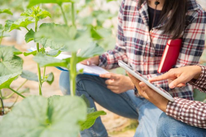 El Ministerio de Agricultura, Pesca y Alimentación convoca los Premios de Excelencia a la Innovación para Mujeres Rurales El Ministerio de Agricultura, Pesca y Alimentación convoca los Premios de Excelencia a la Innovación para Mujeres Rurales