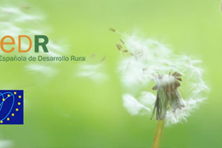 La REDR, junto al Movimiento Rural Europeo, pide a la Comisión Europea elaborar un Libro Blanco sobre la Ruralidad La REDR, junto al Movimiento Rural Europeo, pide a la Comisión Europea elaborar un Libro Blanco sobre la Ruralidad