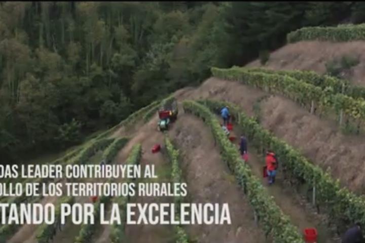 LEADER, con el crecimiento continuo del Vino de Cangas LEADER, con el crecimiento continuo del Vino de Cangas